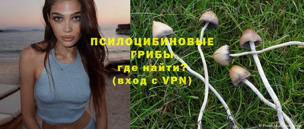 дурь Абаза