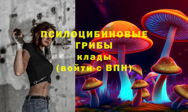 твердый Абинск
